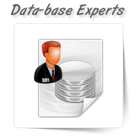 Data-base Management Experts